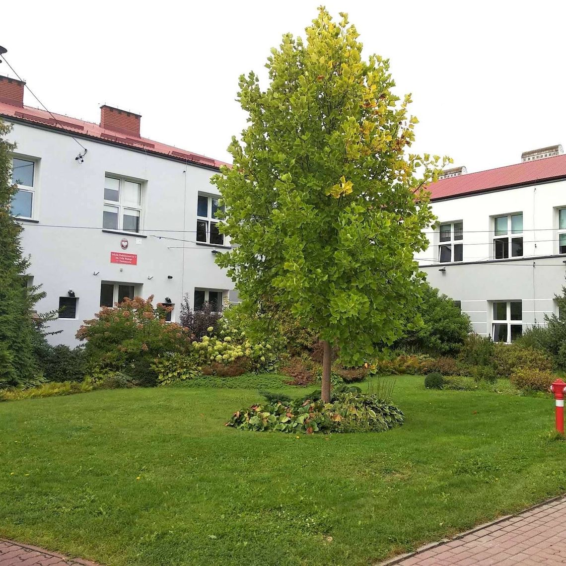CHOTOMÓW. Wolne miejsca w SP