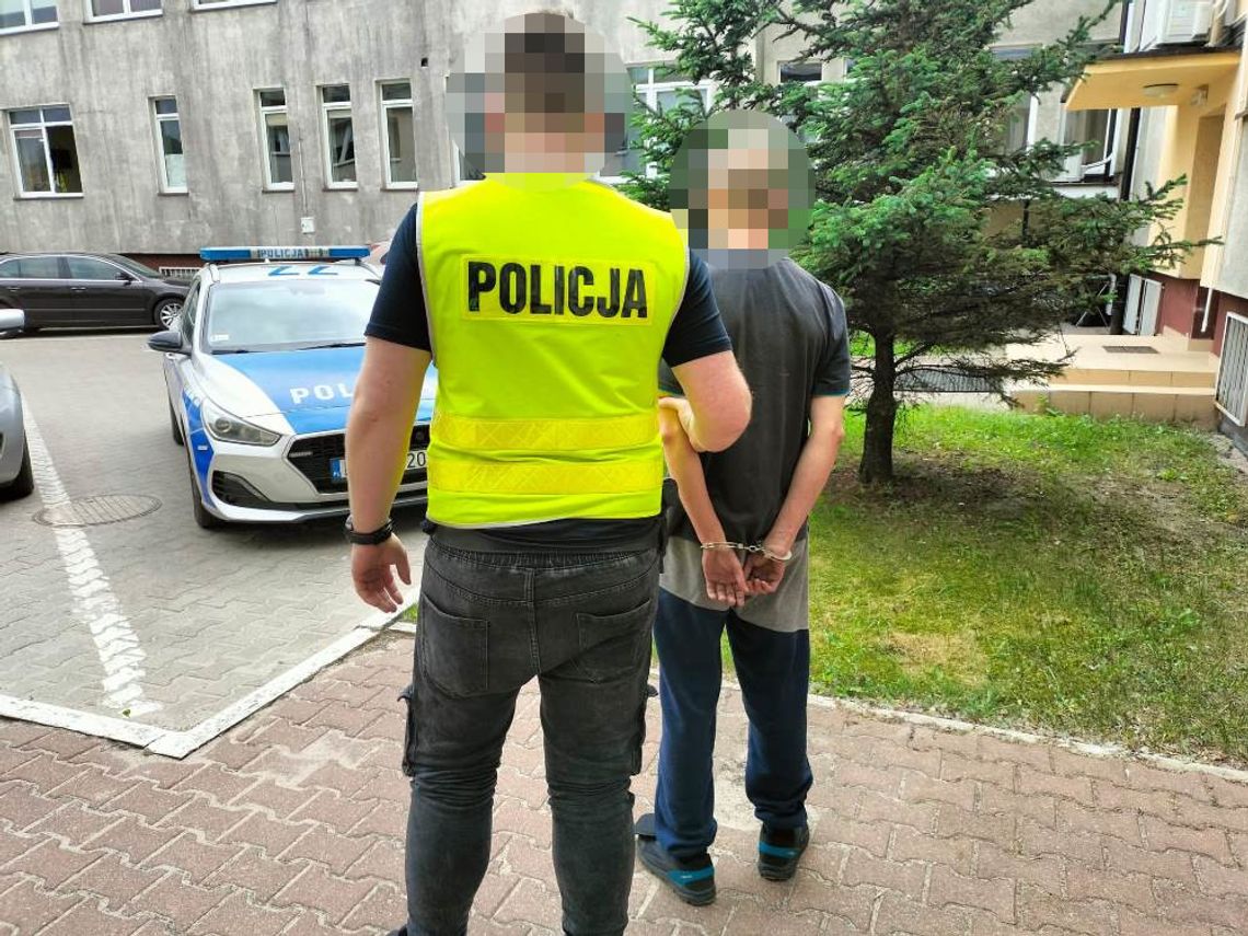 Dwaj włamywacze zatrzymani po odzyskaniu skradzionego towaru i odkryciu plantacji marihuany