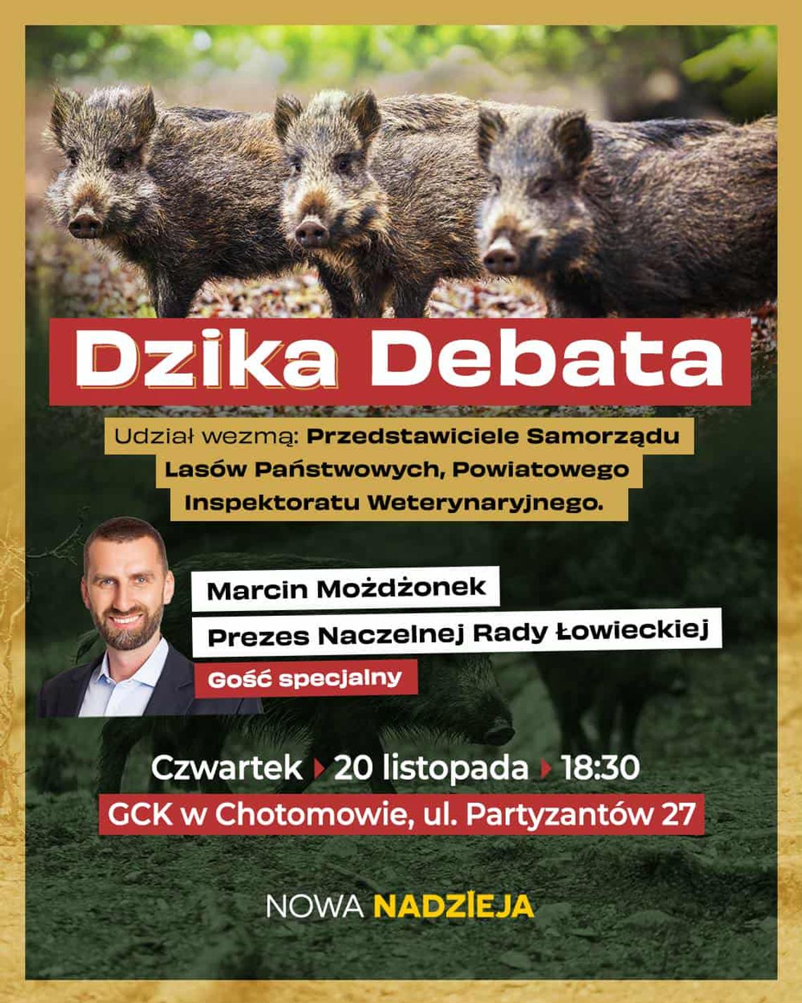 Dzikie stają się ulice