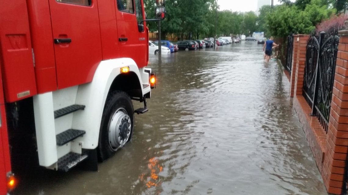 DZIWIĘ SIĘ. Gdzie jest Noe?