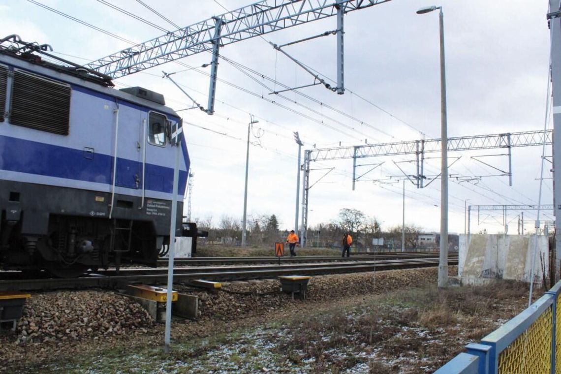JABŁONNA. Pociąg zderzył się ze stadem dzików
