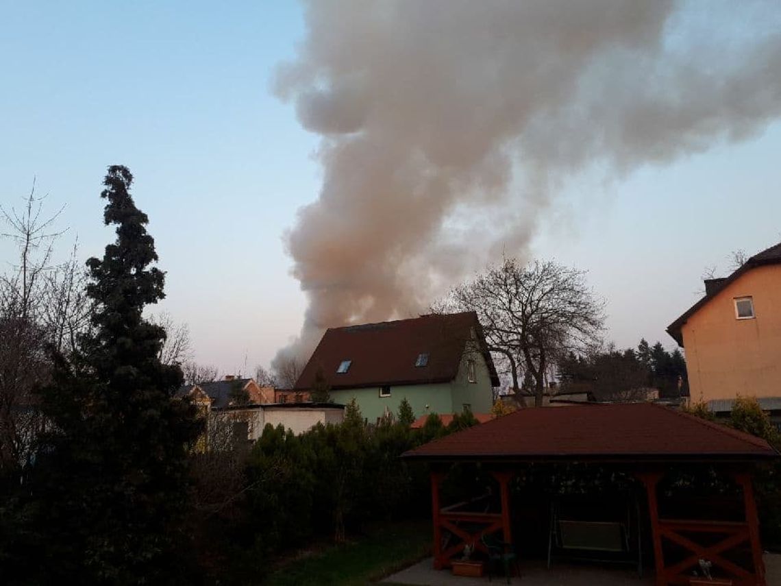 JABŁONNA. Trwa akcja gaśnicza nieopodal ośrodka KEZO. Z ogniem walczy 6 zastępów straży JABŁONNA. Trwa akcja gaśnicza nieopodal ośrodka KEZO. Z ogniem walczy 6 zastępów straży