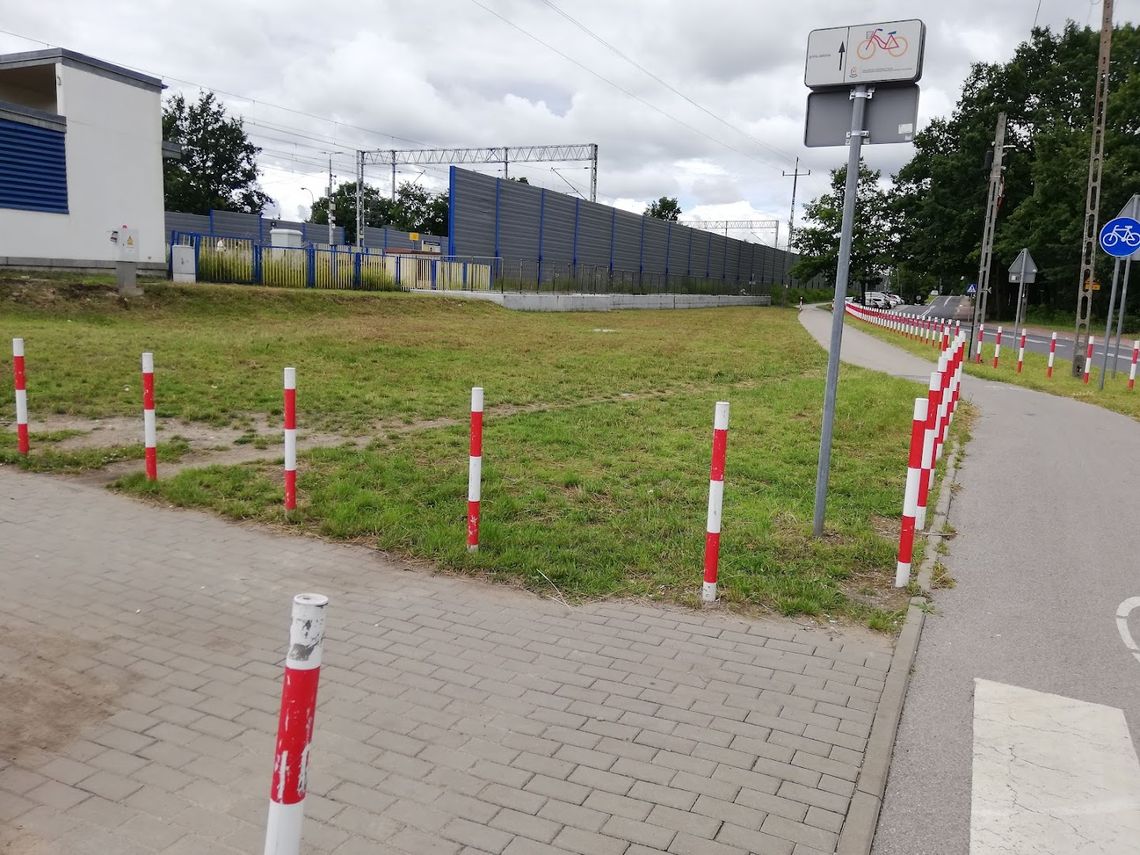 Kwietne łąki już wykoszone? DZIWIĘ SIĘ...