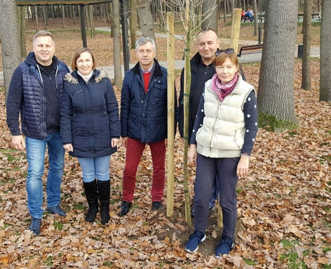 LEGIONOWO. 100 drzew na 100-lecie odzyskania Niepodległości LEGIONOWO. 100 drzew na 100-lecie odzyskania Niepodległości