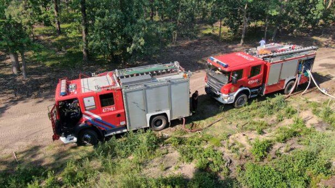 LEGIONOWO. 12 zrzutów wody, 3 samoloty i spalone 4 ha lasu - podsumowanie pożaru lasu przy Zakopiańskiej LEGIONOWO. 12 zrzutów wody, 3 samoloty i spalone 4 ha lasu - podsumowanie pożaru lasu przy Zakopiańskiej