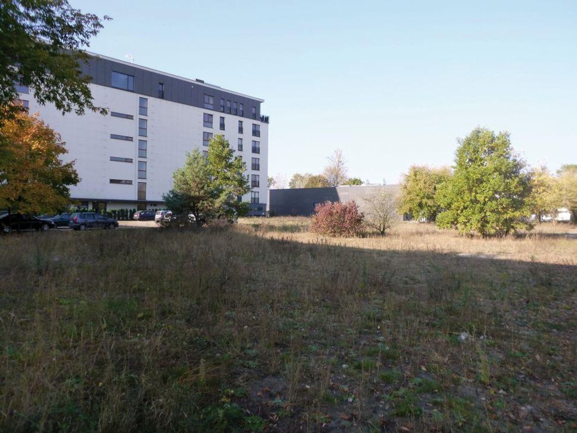 LEGIONOWO. Drzewa uschły - winnych brak LEGIONOWO. Drzewa uschły - winnych brak