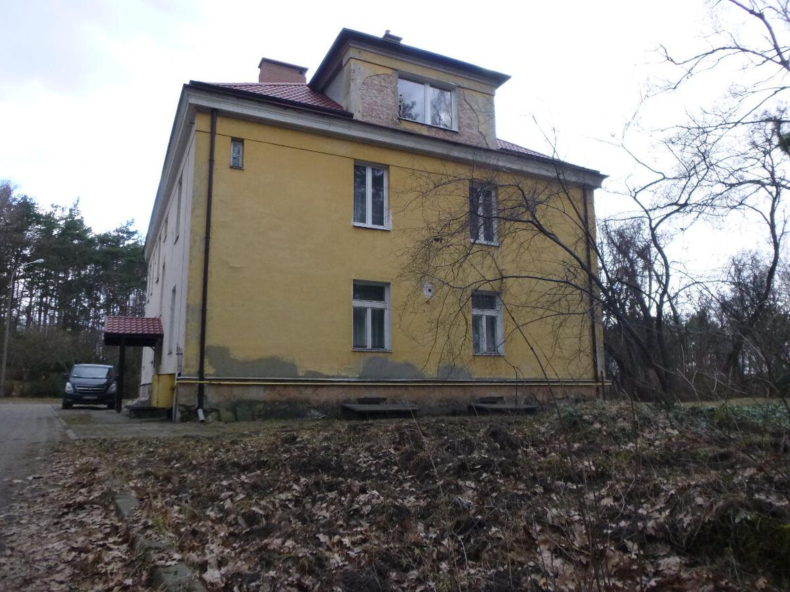 LEGIONOWO. Dziki zmorą mieszkańców Zegrzyńskiej
