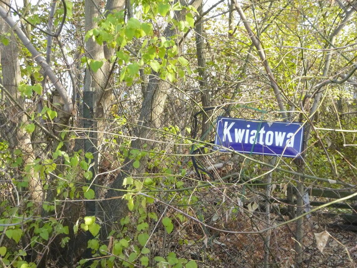 LEGIONOWO. Ekshibicjonista w „leśniczówce”? LEGIONOWO. Ekshibicjonista w „leśniczówce”?