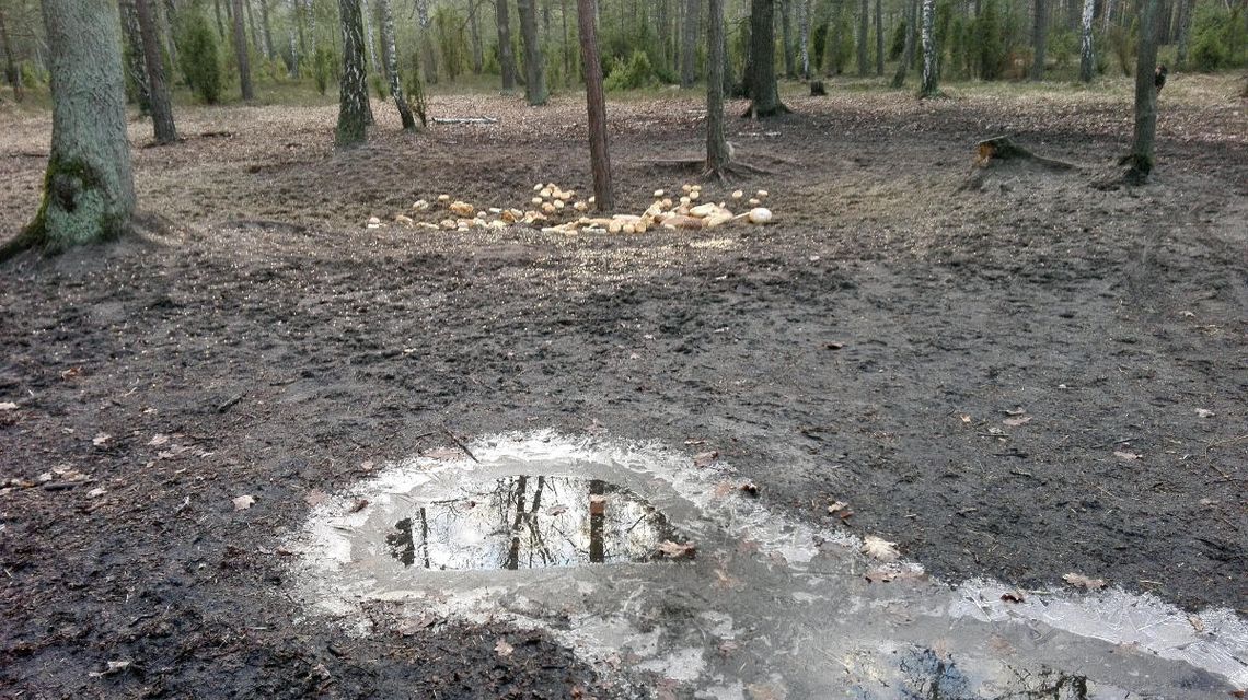 LEGIONOWO. Jedni łapią, drudzy dokarmiają