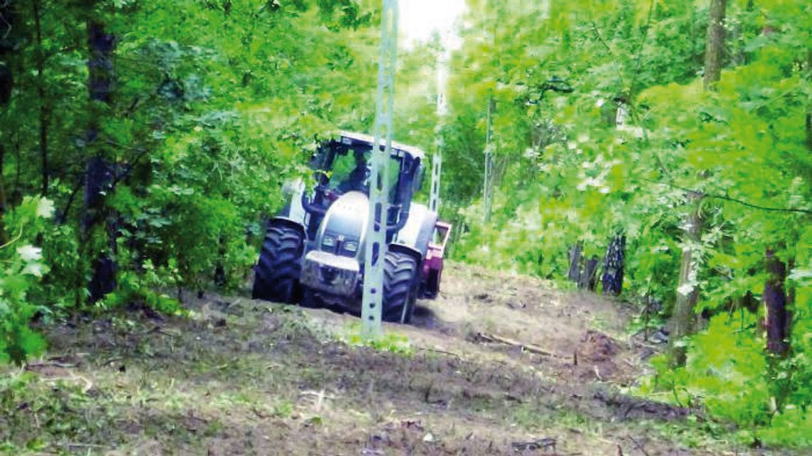 LEGIONOWO. Las powinien być zachowany LEGIONOWO. Las powinien być zachowany