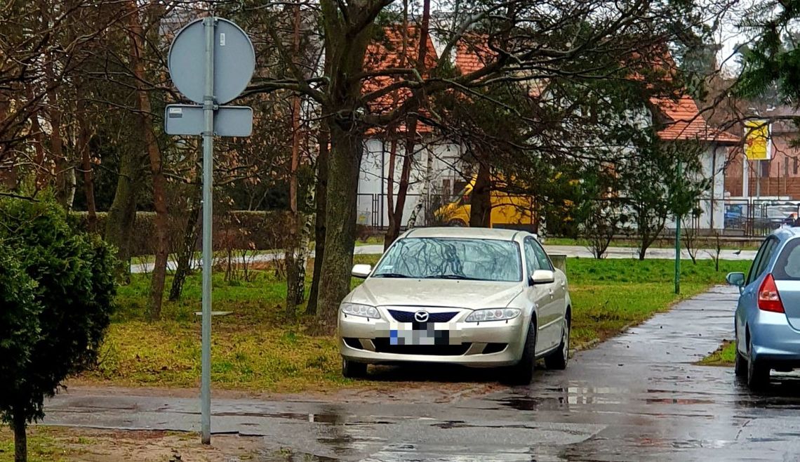 LEGIONOWO. Mieszkańcy skarżą się na niszczycieli zieleni LEGIONOWO. Mieszkańcy skarżą się na niszczycieli zieleni