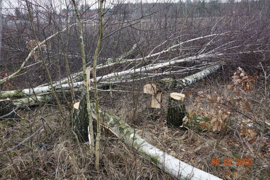 LEGIONOWO. MORDOR przy Olszankowej – ciąg dalszy LEGIONOWO. MORDOR przy Olszankowej – ciąg dalszy