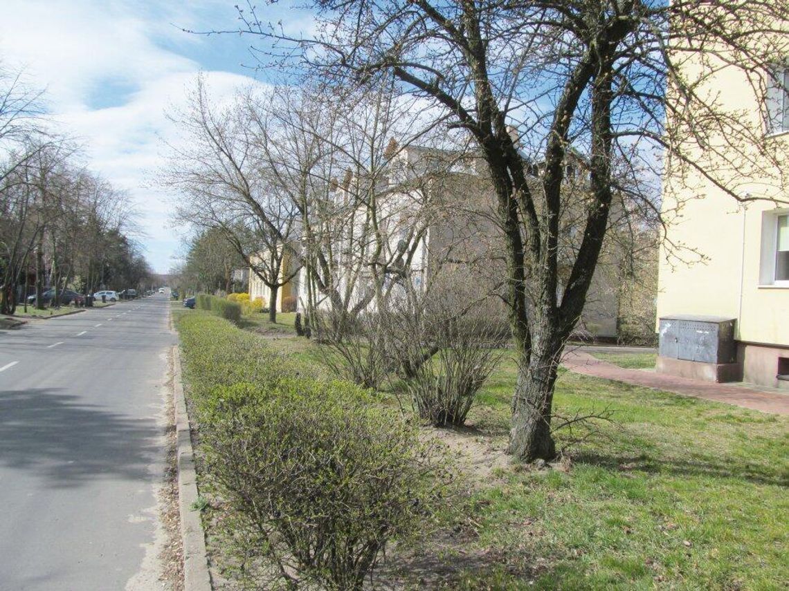 LEGIONOWO. Na Grzybowej i Daliowej... LEGIONOWO. Na Grzybowej i Daliowej...