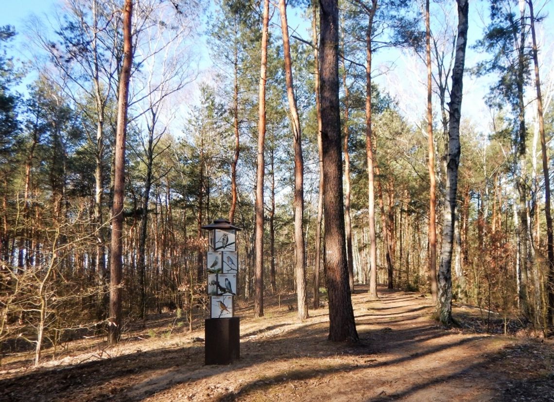 LEGIONOWO. Policja zatrzymała pedofila – skrzywdził 10-latkę