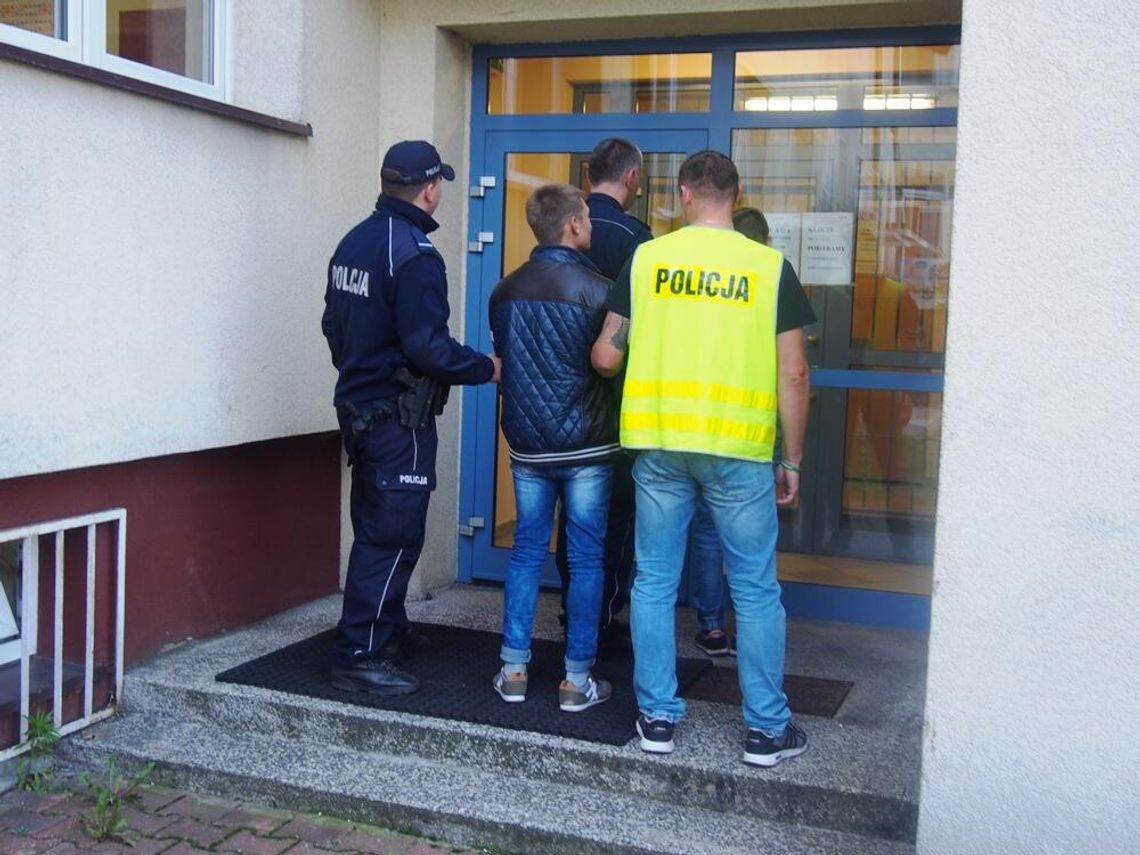 LEGIONOWO. Policjanci zlikwidowali dwie plantacje marihuany LEGIONOWO. Policjanci zlikwidowali dwie plantacje marihuany