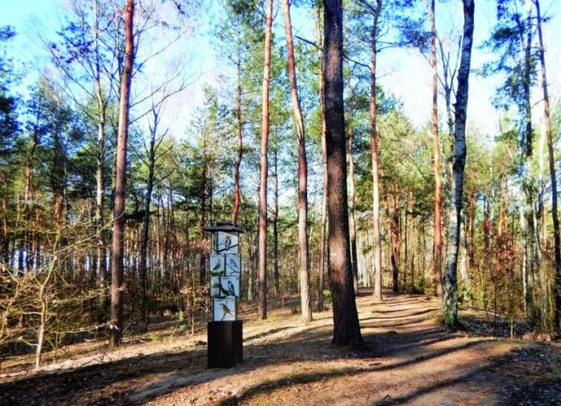 LEGIONOWO. Prokuratura będzie wnioskować o najwyższy wymiar kary