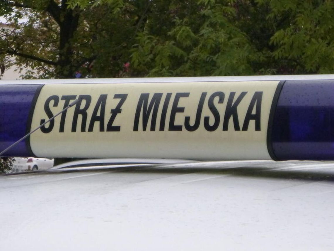 LEGIONOWO. Układał kamienie na torach LEGIONOWO. Układał kamienie na torach