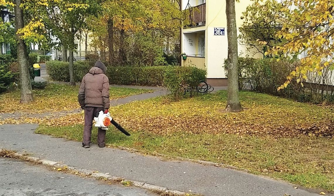 LEGIONOWO. Używają dmuchaw pomimo zakazu LEGIONOWO. Używają dmuchaw pomimo zakazu