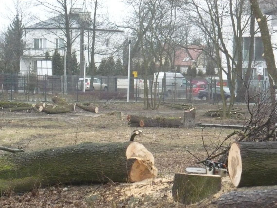 LEGIONOWO. Wielkie rżnięcie w centrum LEGIONOWO. Wielkie rżnięcie w centrum