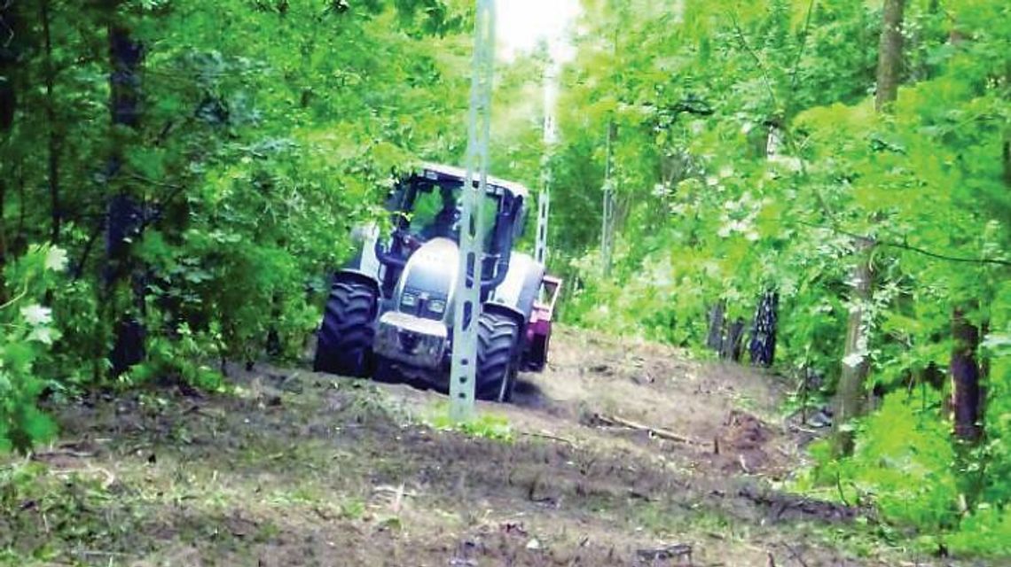 LEGIONOWO. Wyjaśnienia urzędu: Na wycinkę – wysłali pismo?