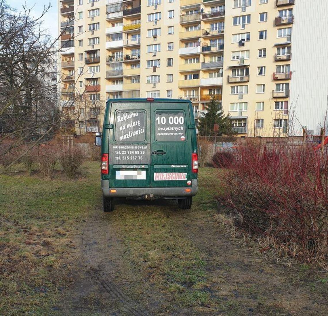 LEGIONOWO. Zieleń według "miejscowej"