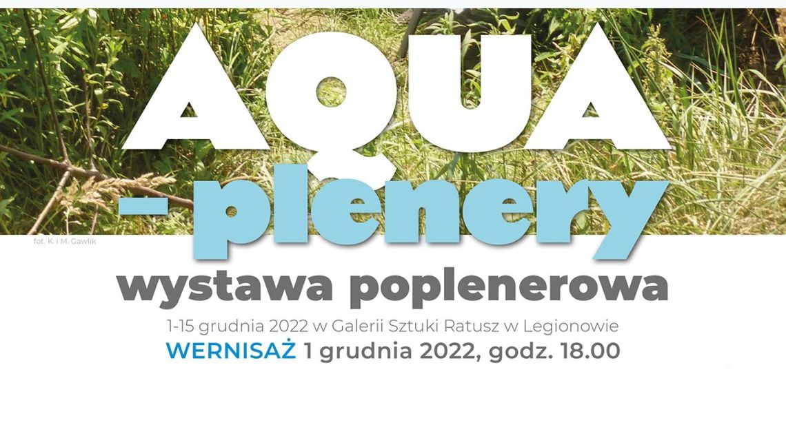 LEGIONOWSKI. AQUA-PLENERY - wystawa