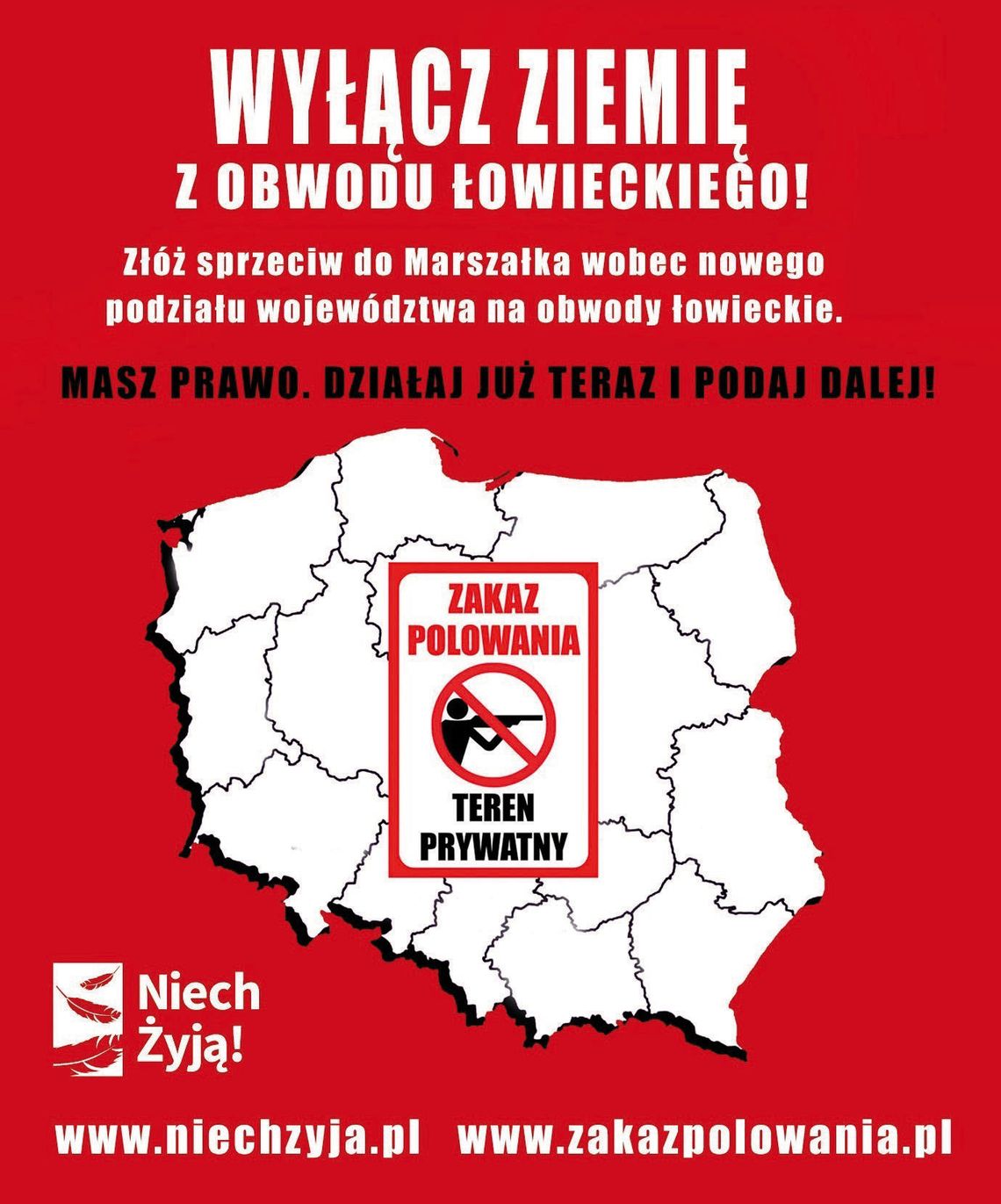 LEGIONOWSKI. Konsultacje ws. okręgów łowieckich