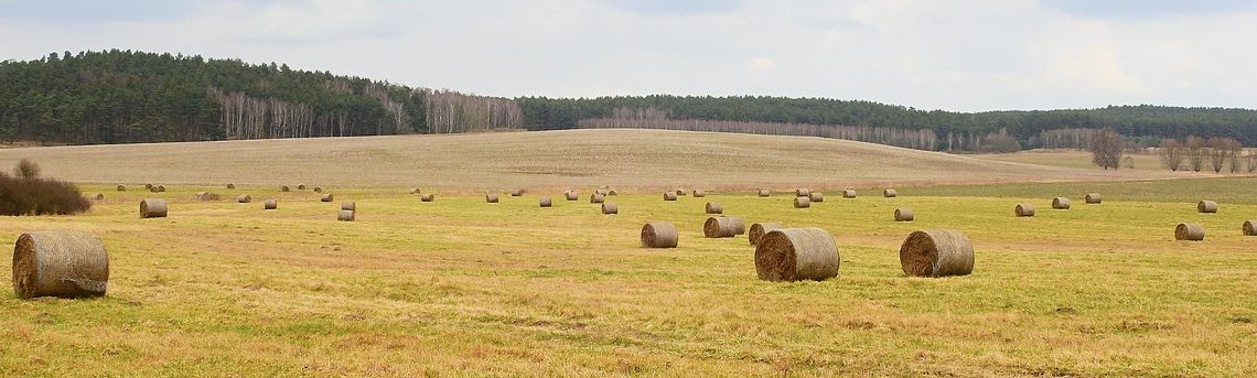 LEGIONOWSKI. Nawet 250 tys. zł na założenie biznesu na wsi