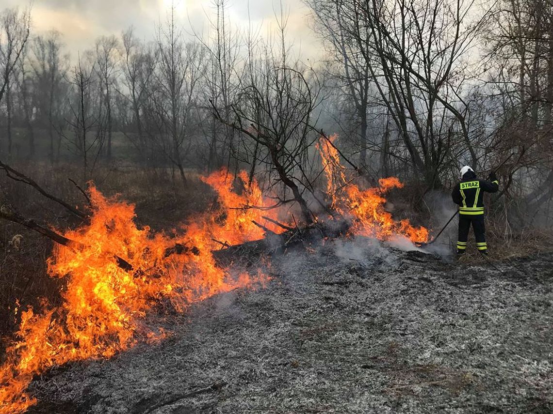LEGIONOWSKI. Nie wypalajmy traw! - apel Straży Pożarnej LEGIONOWSKI. Nie wypalajmy traw! - apel Straży Pożarnej