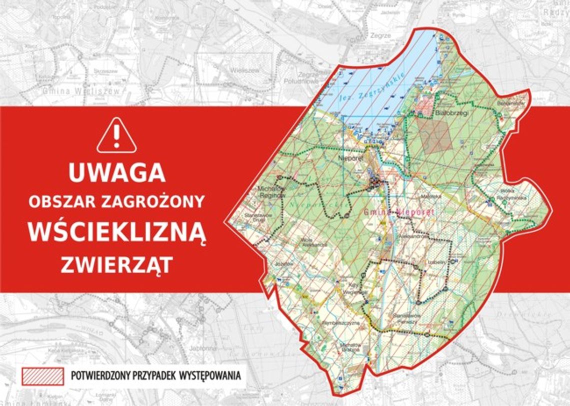 LEGIONOWSKI. UWAGA !!! nietoperze mają wściekliznę LEGIONOWSKI. UWAGA !!! nietoperze mają wściekliznę