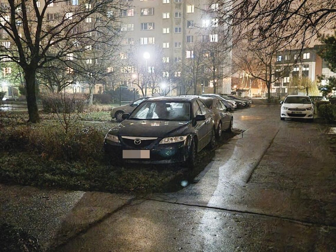 LIST CZYTELNIKA. Parkują na trawnikach, niszczą zieleń - wszyscy mają to w...