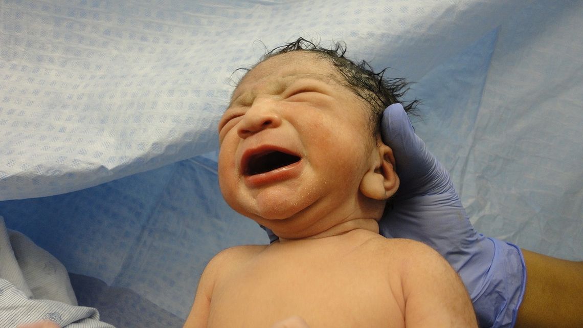 MAZOWSZE. 163 dzieci urodzonych dzięki In Vitro