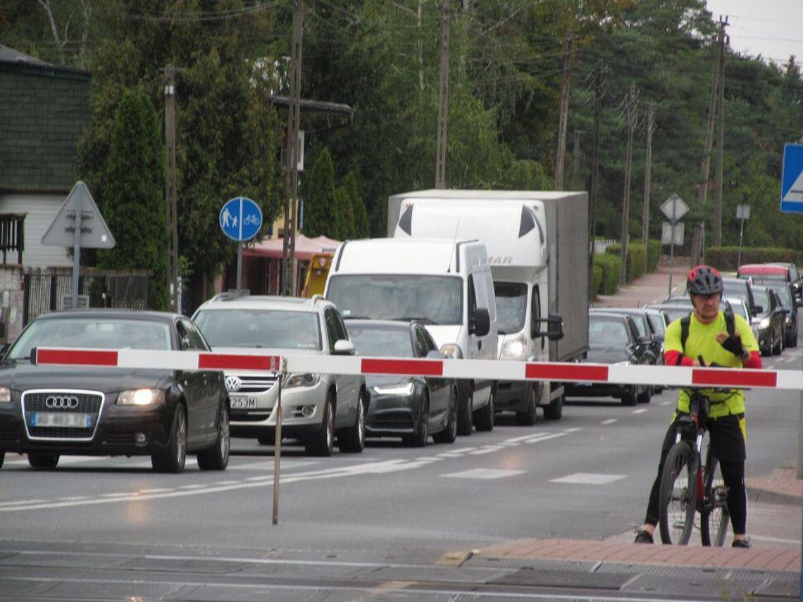 MIASTO TORAMI PODZIELONE. Jutro konsultacje w Ratuszu (czwartek 12 września godz. 18.00)