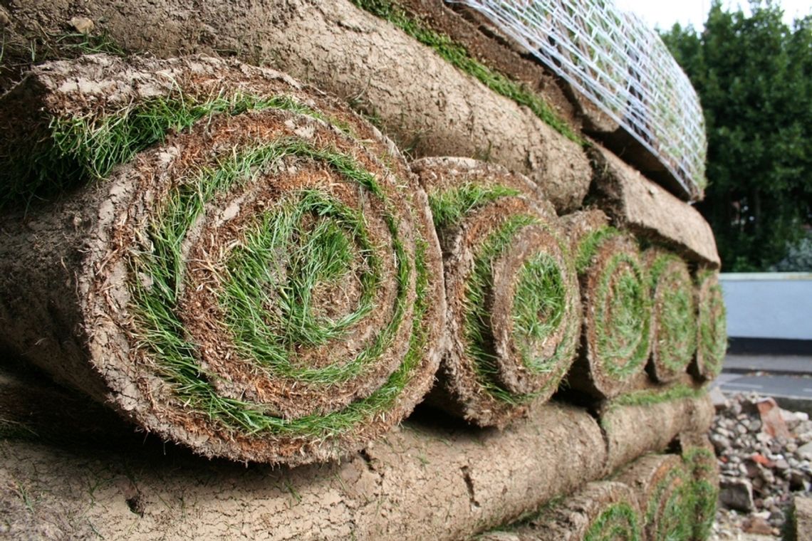 NATURA. Szybki sposób na trawnik NATURA. Szybki sposób na trawnik