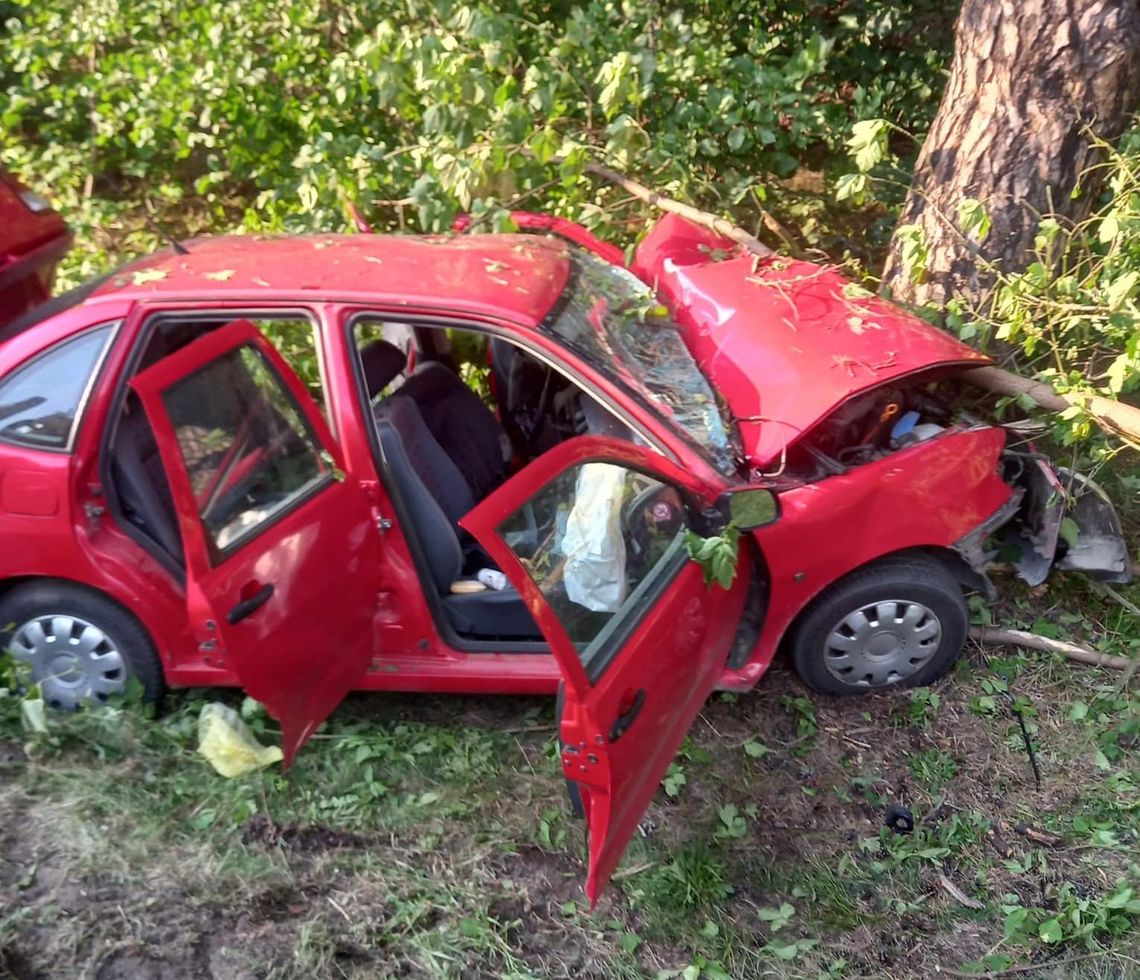 NIEPORĘT. 73-latek wypadł z drogi i uderzył w drzewo! Reanimacja nie przyniosła skutku
