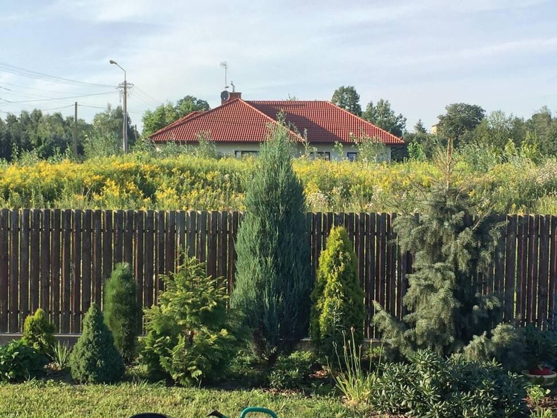 NIEPORĘT. Kłopotliwa hałda ziemi NIEPORĘT. Kłopotliwa hałda ziemi
