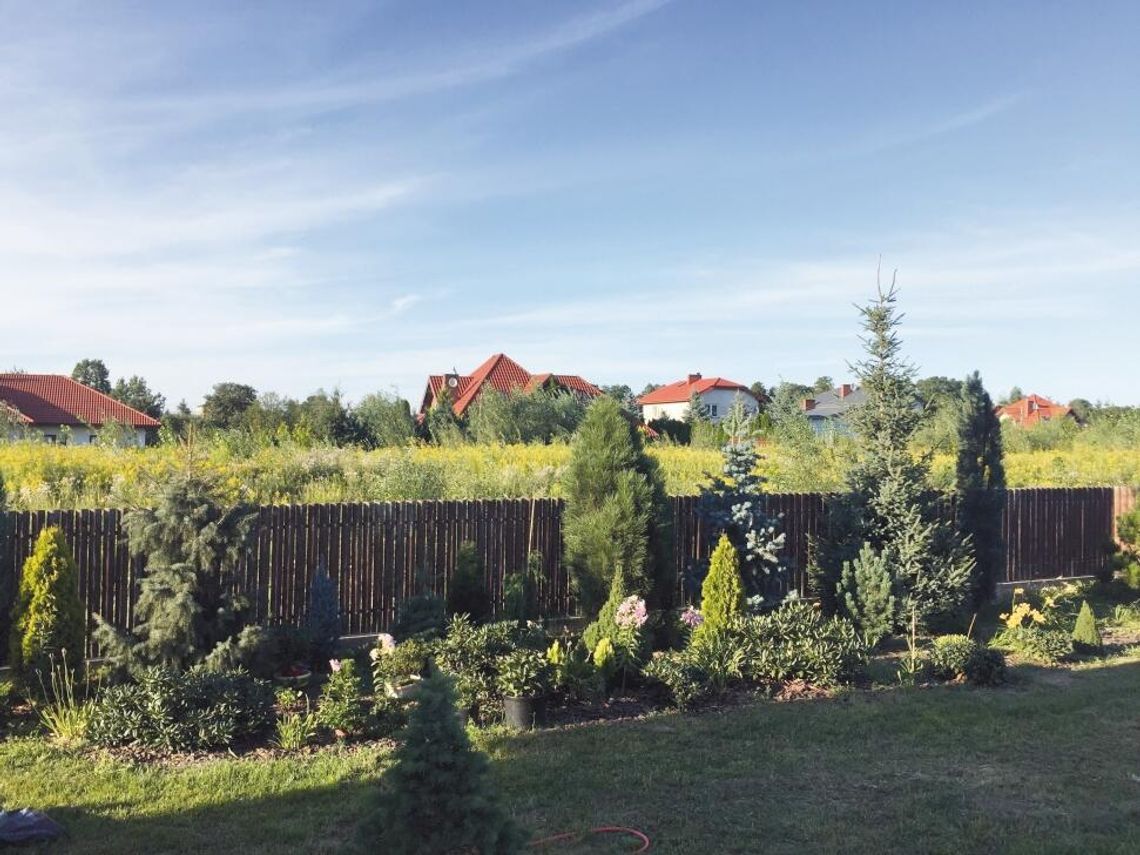 NIEPORĘT. Zlikwidują kłopotliwą hałdę NIEPORĘT. Zlikwidują kłopotliwą hałdę