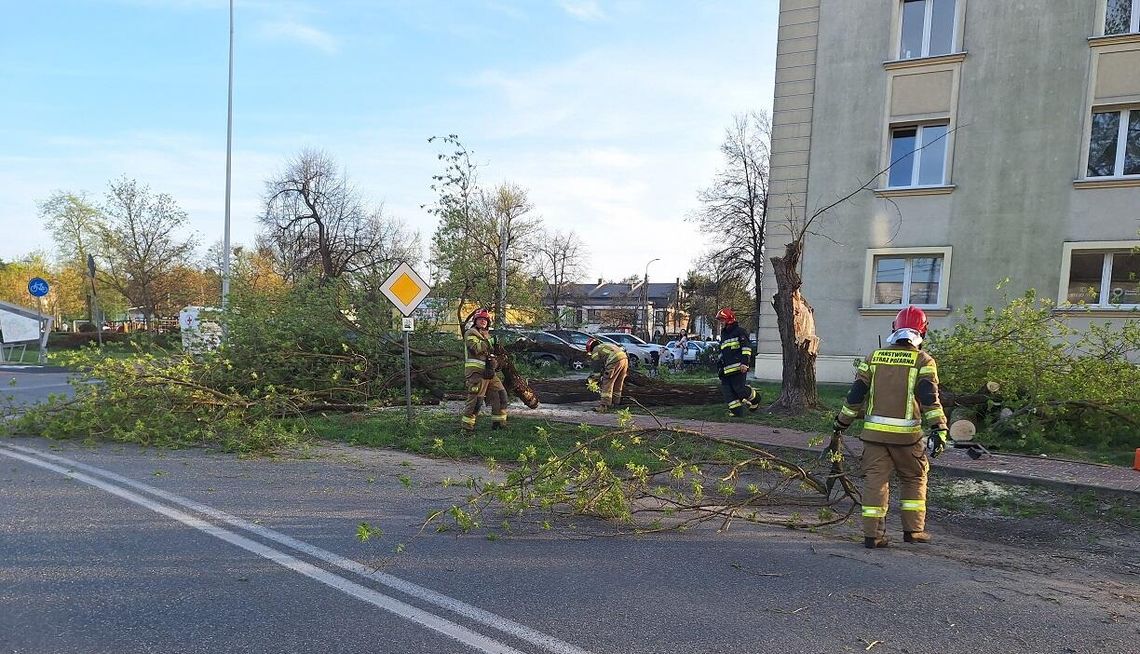 Połamane drzewo zatarasowało ulicę