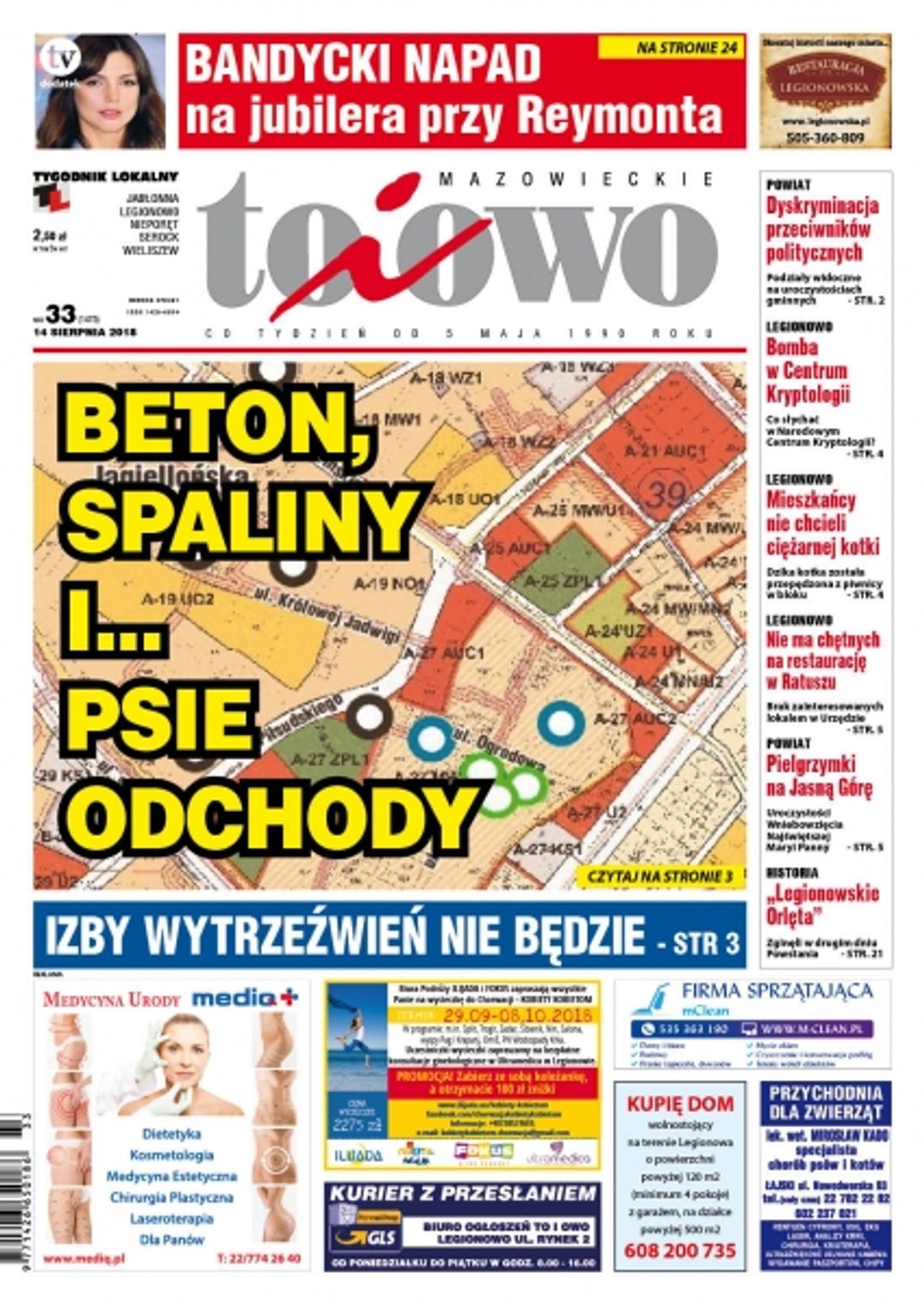 Przegląd wydania nr. 33