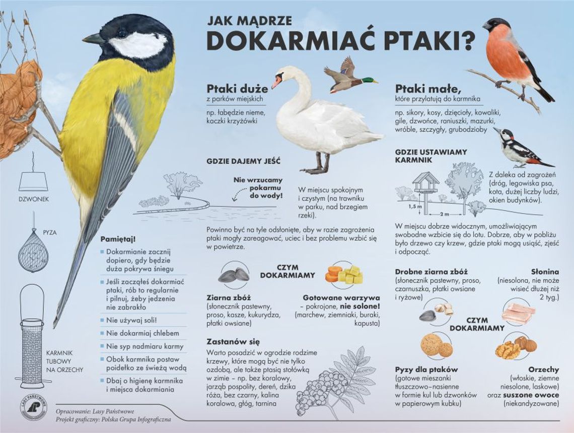 Ptaki warto dokarmiać mądrze, w przeciwnym razie lepiej tego nie robić