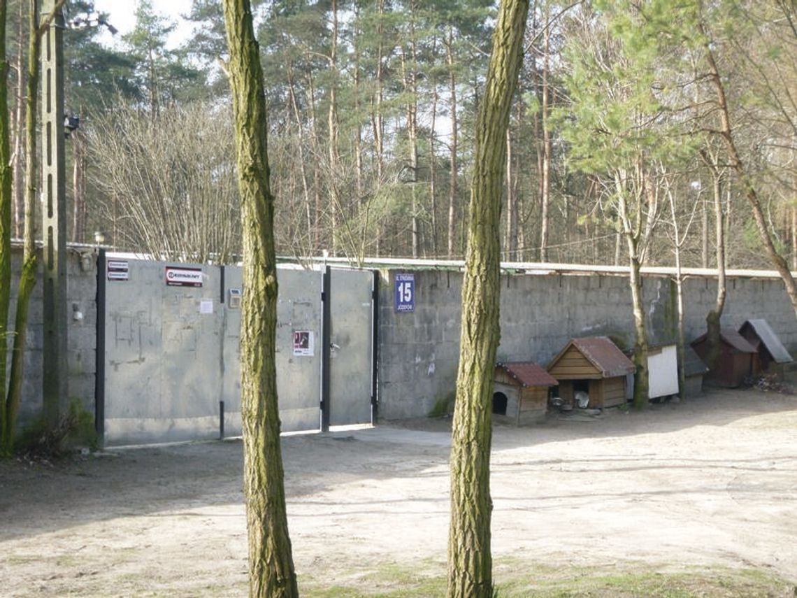 Schronisko częściowo nielegalne Schronisko częściowo nielegalne