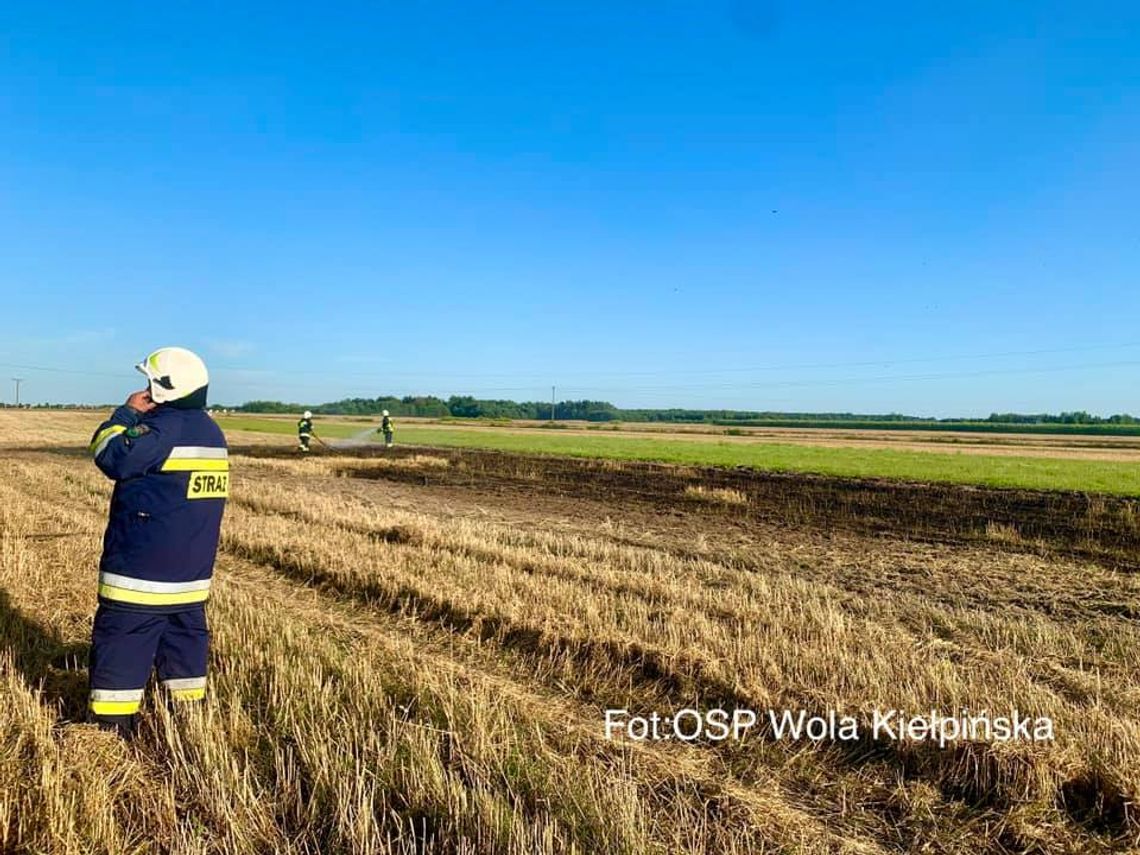 SEROCK. 1000 m2 w ogniu! Zapaliło się pole po skoszonym zbożu