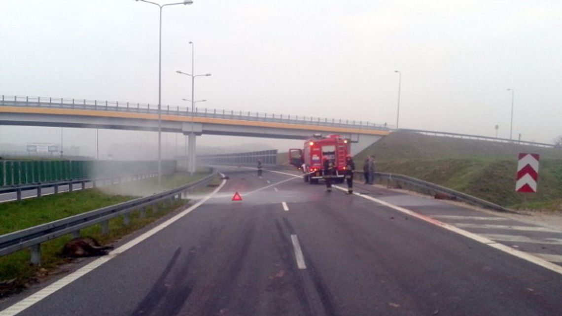 SEROCK. 14 i 90-latka trafiły do szpitala. Wypadek na obwodnicy SEROCK. 14 i 90-latka trafiły do szpitala. Wypadek na obwodnicy