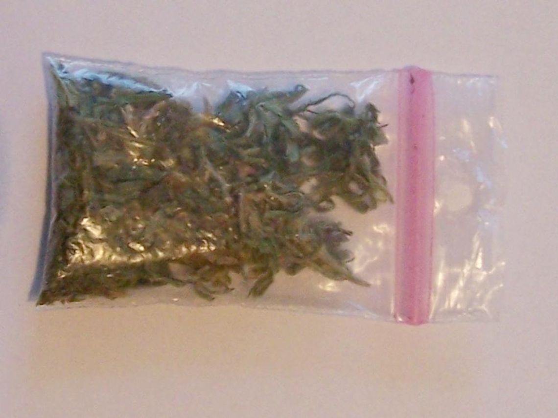 SEROCK. 2 gramy marihuany. Dwaj 18-latkowie zatrzymani SEROCK. 2 gramy marihuany. Dwaj 18-latkowie zatrzymani