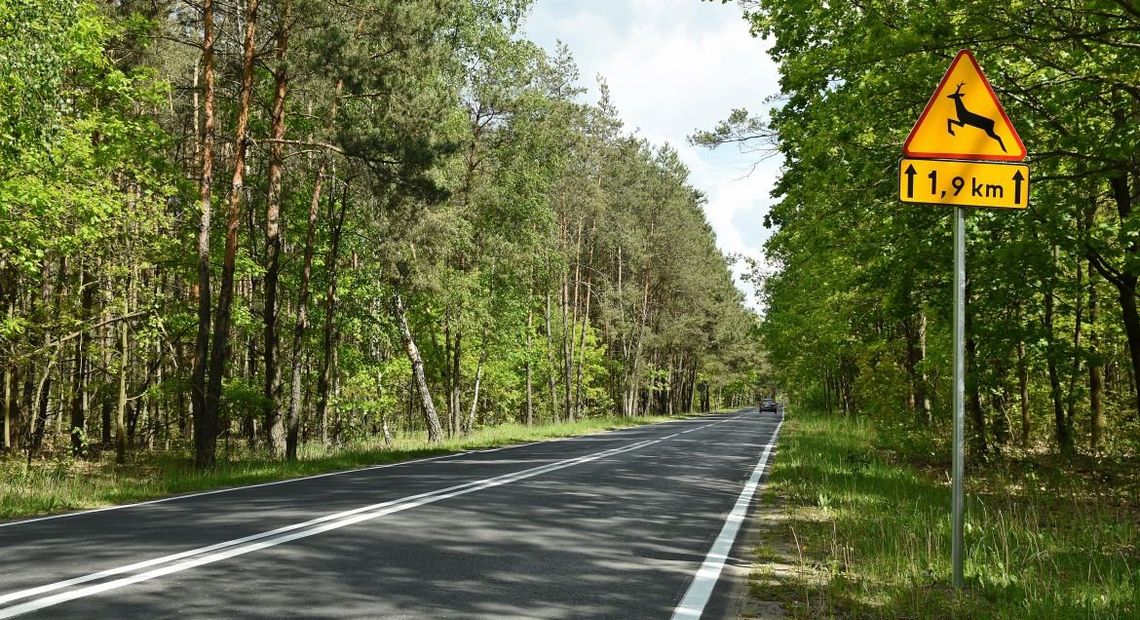 SEROCK. Ścieżka pieszo-rowerowa wzdłuż Nasielskiej