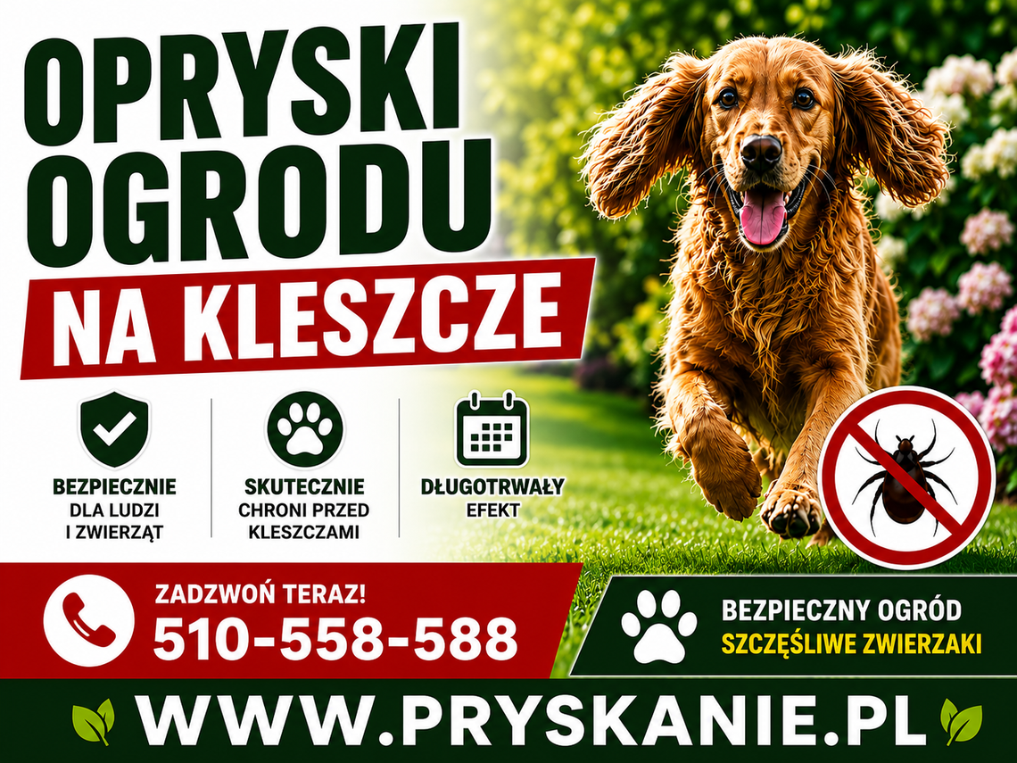 Skuteczne odkleszczanie posesji