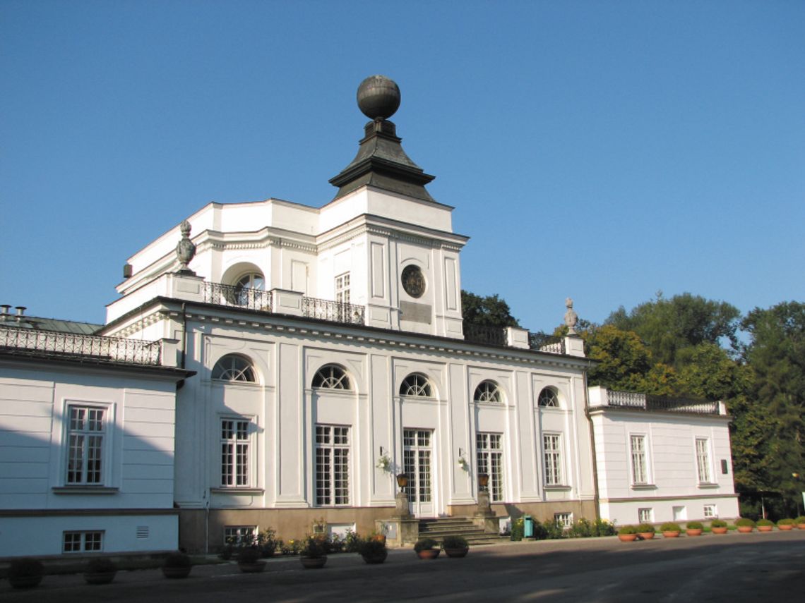Steinway na tle kwitnącej magnolii