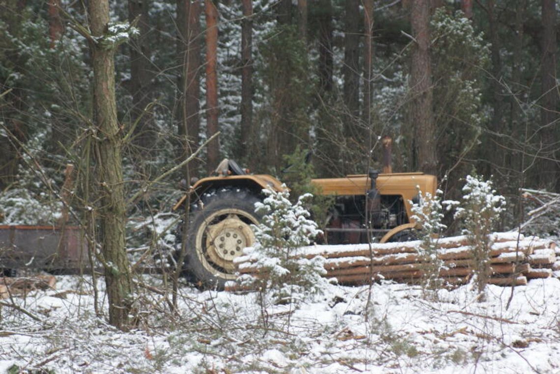 WIELISZEW. Deweloper w "Leśnym Jarze" WIELISZEW. Deweloper w "Leśnym Jarze"