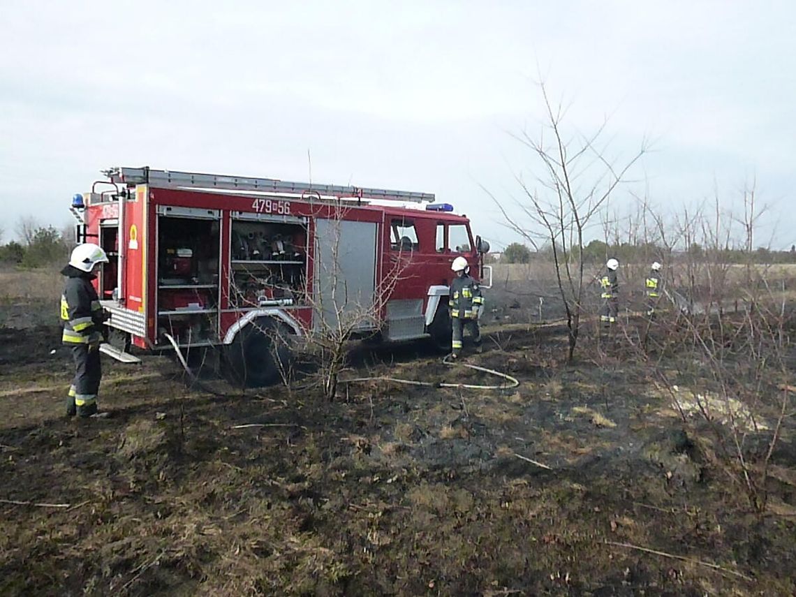 WIELISZEW. Ogromny pożar łąk WIELISZEW. Ogromny pożar łąk