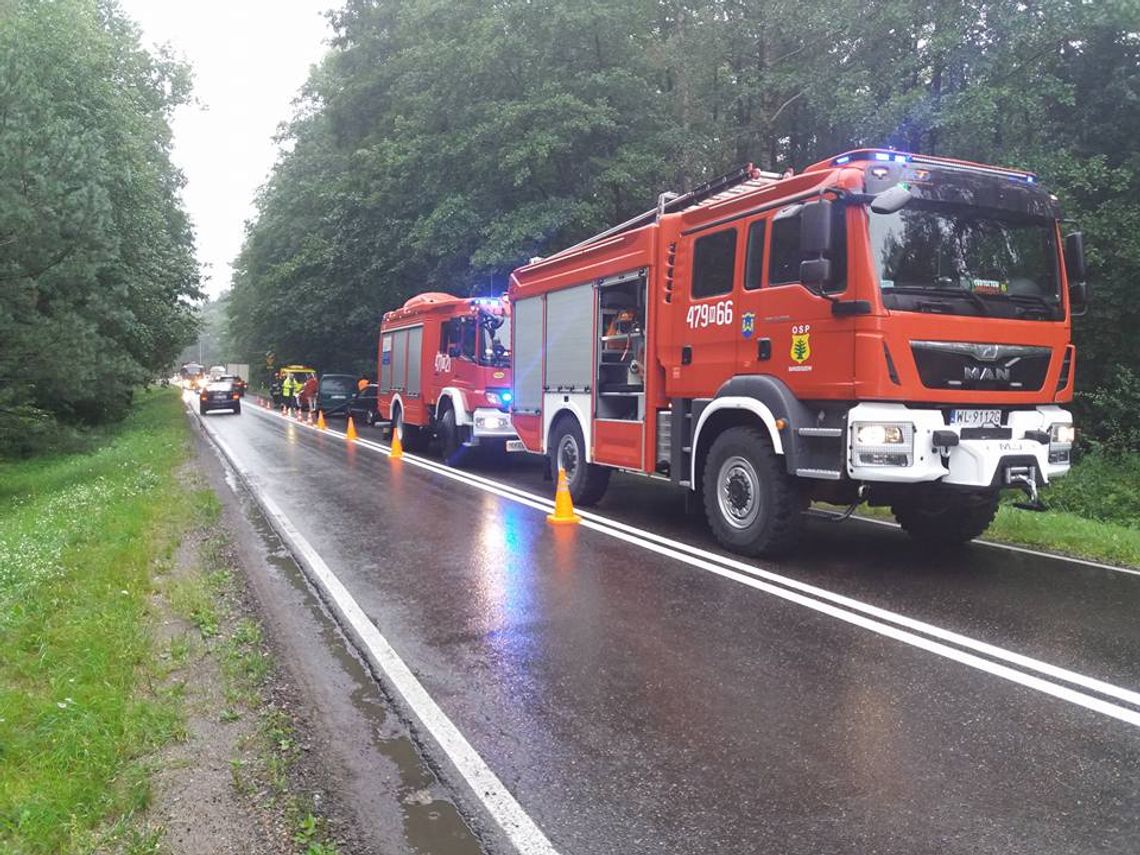 WIELISZEW. Przewrócone drzewo przyczyną minikarambolu WIELISZEW. Przewrócone drzewo przyczyną minikarambolu